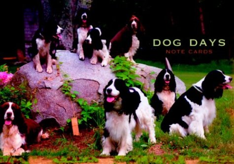 Dog Days Large Note Cards in a Magnetic-Closure Box (Potter Style) (9781400049929) by Sheehan, Larry; Sheehan, Carol; Precourt, Kathryn Ge