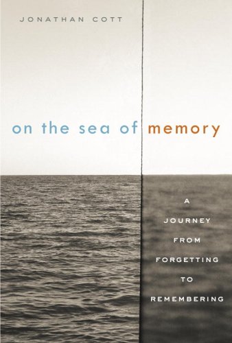 Imagen de archivo de On the Sea of Memory : A Journey from Forgetting to Remembering a la venta por Better World Books