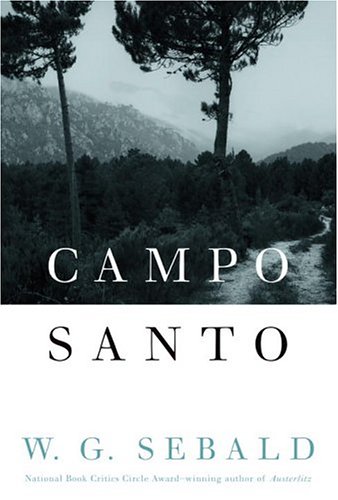 Stock image for Campo Santo for sale by BooksRun