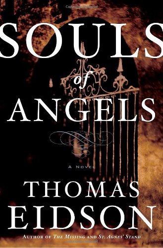 Beispielbild fr Souls of Angels: A Novel zum Verkauf von HPB-Ruby