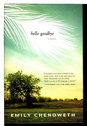 Stock image for Hello Goodbye : A Novel for sale by Better World Books