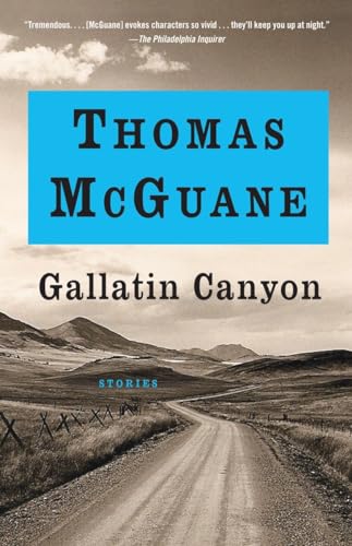 Beispielbild fr Gallatin Canyon: Stories (Vintage Contemporaries) zum Verkauf von BooksRun