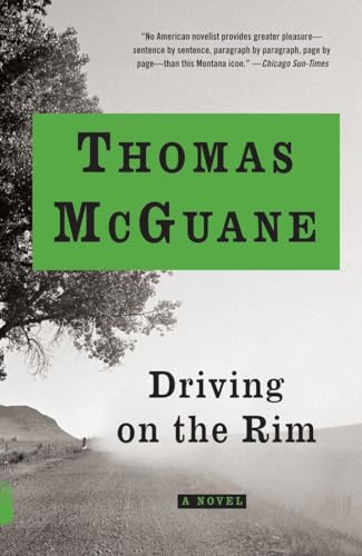 9781400075225: Driving on the Rim: A novel (Vintage Contemporaries)