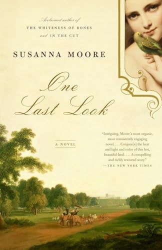 9781400075416: One Last Look: A Novel (Vintage Contemporaries)