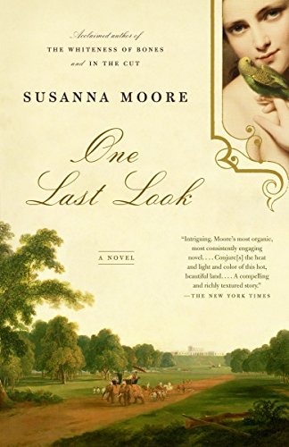 9781400075416: One Last Look: A Novel (Vintage Contemporaries)