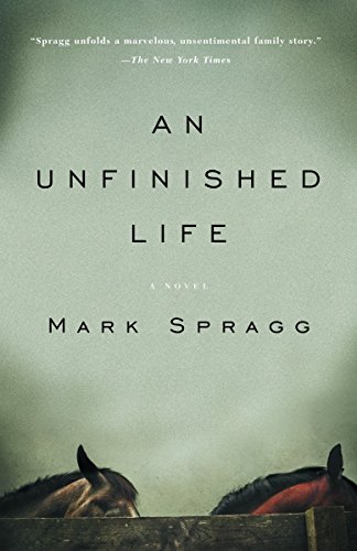 9781400076147: An Unfinished Life (Vintage Contemporaries)