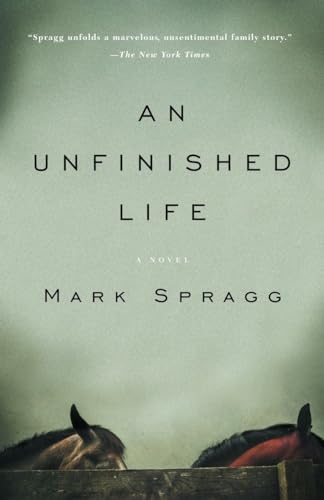 Stock image for An Unfinished Life for sale by Your Online Bookstore