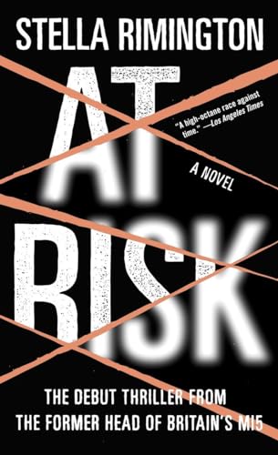 9781400079810: At Risk: A Novel