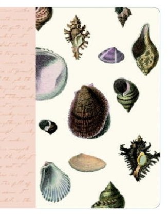 Seashell Journal (9781400081790) by Potter Style