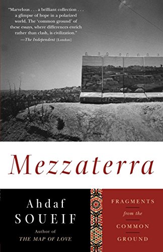 9781400096633: Mezzaterra: Fragments from the Common Ground