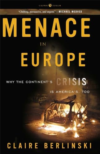 Imagen de archivo de Menace in Europe : Why the Continent's Crisis Is America's, Too a la venta por Better World Books