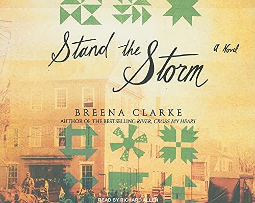 9781400108787: Stand the Storm: A Novel