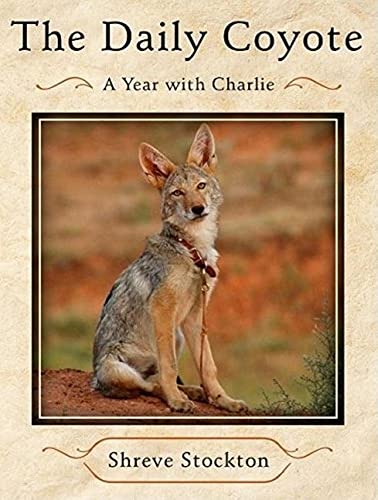 Stock image for The Daily Coyote: A Story of Love, Survival, and Trust in the Wilds of Wyoming for sale by SecondSale