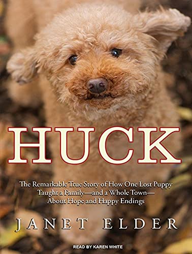 Imagen de archivo de Huck: The Remarkable True Story of How One Lost Puppy Taught a Family---And a Whole Town---About Hope and Happy Endings (_AV) a la venta por The Yard Sale Store
