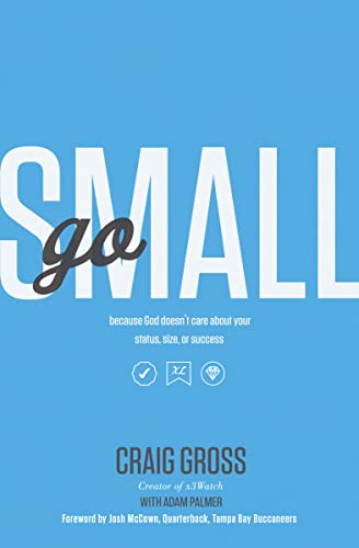 Imagen de archivo de Go Small: Because God Doesn't Care About Your Status, Size, or Success a la venta por Bookmonger.Ltd