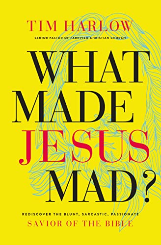 Beispielbild fr What Made Jesus Mad?: Rediscover the Blunt, Sarcastic, Passionate Savior of the Bible zum Verkauf von BookHolders