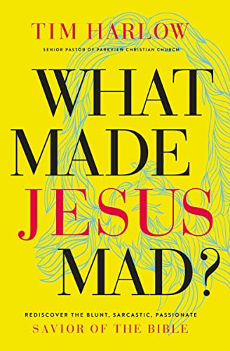 Beispielbild fr What Made Jesus Mad?*: Rediscover the Blunt, Sarcastic, Passionate Savior of the Bible zum Verkauf von HPB-Red