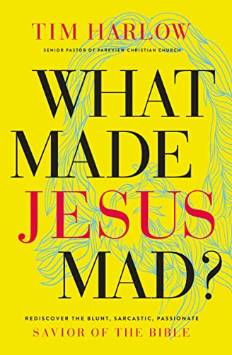 Stock image for What Made Jesus Mad?* for sale by Blackwell's