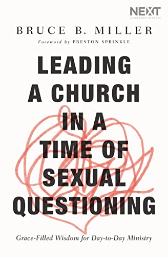 Imagen de archivo de Leading a Church in a Time of Sexual Questioning: Grace-Filled Wisdom for Day-to-Day Ministry a la venta por SecondSale