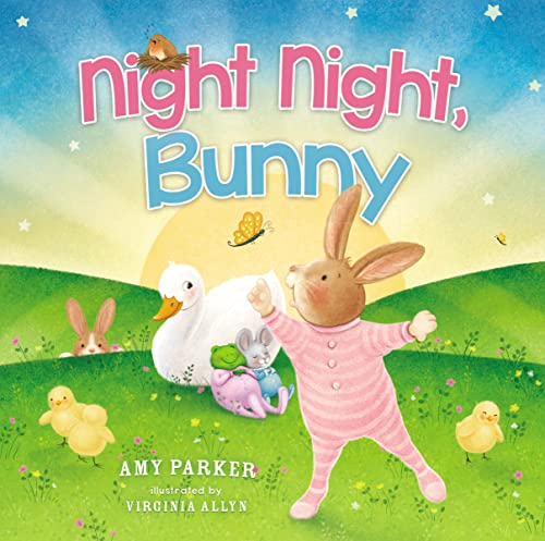 Stock image for Night Night, Bunny for sale by Better World Books
