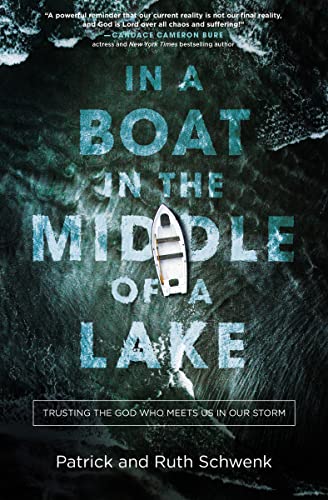 Stock image for In a Boat in the Middle of a Lake: Trusting the God Who Meets Us in Our Storm for sale by Goodwill of Colorado