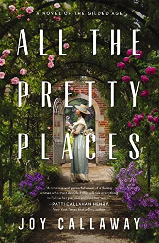 Beispielbild fr All the Pretty Places: A Novel of the Gilded Age zum Verkauf von Red's Corner LLC