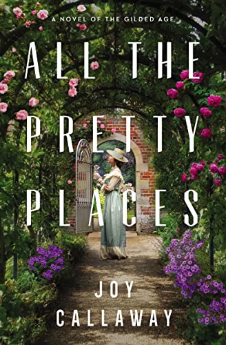 Stock image for All the Pretty Places: A Novel of the Gilded Age for sale by Zoom Books Company