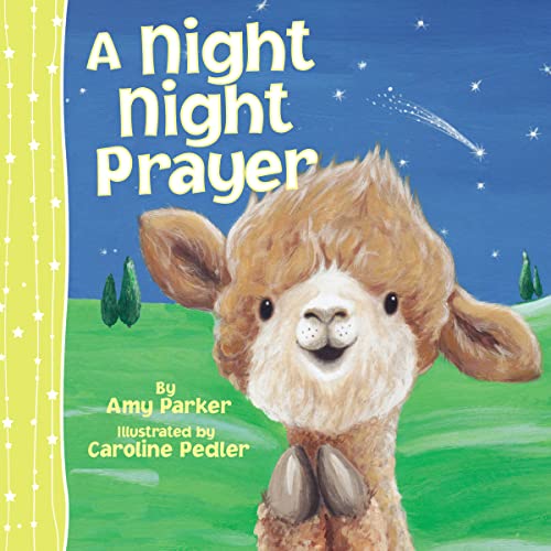 Beispielbild fr A Night Night Prayer zum Verkauf von Wonder Book