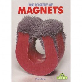 9781400763191: The Mystery of Magnets
