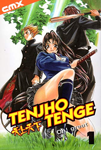 Stock image for Tenjho Tenge VOL 01 for sale by SecondSale
