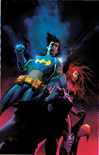 Beispielbild fr Nightwing and Flamebird zum Verkauf von Better World Books: West