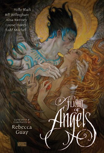 9781401232009: Flight Of Angels HC