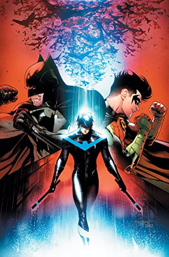 9781401281656: Nightwing 6 - the Untouchable