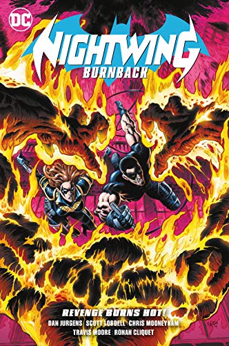 Stock image for Nightwing: Burnback for sale by Half Price Books Inc.