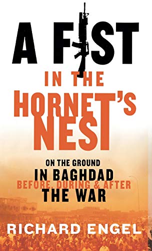 9781401301156: A Fist in the Hornet's Nest: On the Ground in Baghdad Before, During and After the War