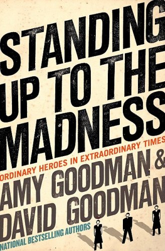 Beispielbild fr Standing Up to the Madness: Ordinary Heroes in Extraordinary Times zum Verkauf von SecondSale