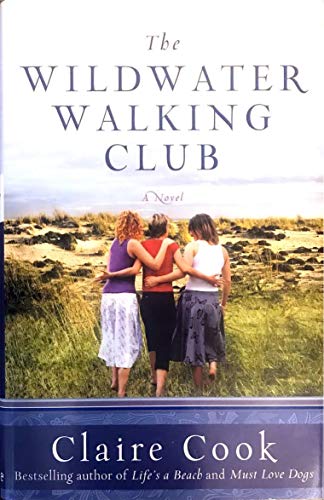 9781401340896: The Wildwater Walking Club: A Novel