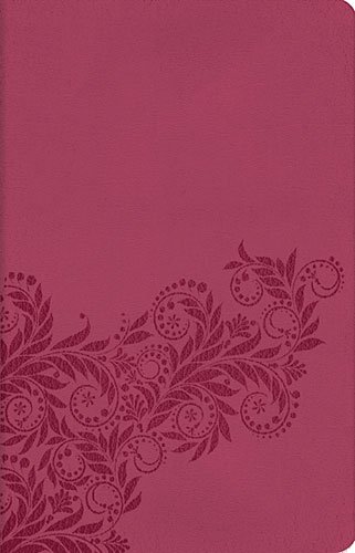 The Holy Bible: King James Version, Light Cranberry, Leathersoft, Reference Edition (Classic Series) (9781401677275) by Thomas Nelson, Inc.