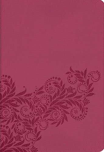 9781401677329: Holy Bible: New King James Version, Reference Edition, Light Cranberry Leathersoft, Classic Series