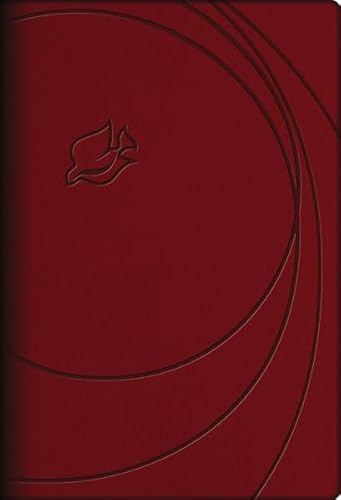 9781401678227: NLT, New Spirit-Filled Life Bible, Leathersoft, Red, Indexed: Kingdom Equipping Through the Power of the Word (Signature)