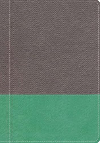 9781401679651: NKJV, The Modern Life Study Bible, Leathersoft, Gray/Green, Indexed: God's Word for Our World