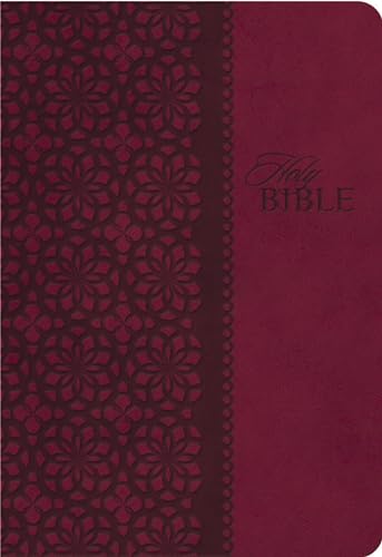 9781401680336: KJV Study Bible, Leathersoft, Red/Pink, Thumb Indexed, Red Letter: Second Edition