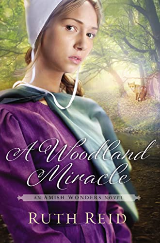 Stock image for A Woodland Miracle (The Amish Wonders Series) for sale by Gulf Coast Books