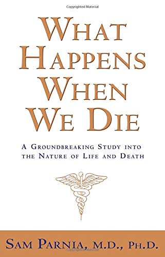 

What Happens When We Die: A Groundbreaking Study into the Nature of Life and Death