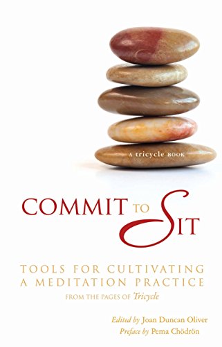 Imagen de archivo de Commit to Sit : Tools for Cultivating a Meditation Practice a la venta por Better World Books