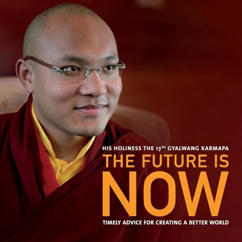 9781401923006: The Future Is Now: Timely Advice for Creating a Better World