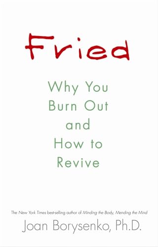 Beispielbild fr Fried : Why You Burn Out and How to Revive zum Verkauf von Better World Books: West