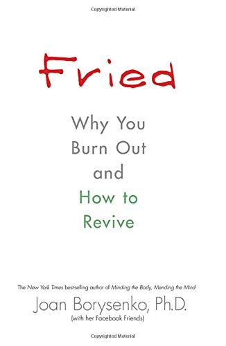Stock image for Fried: Why You Burn Out and How to Revive for sale by SecondSale