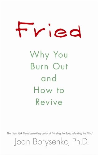 Stock image for Fried : Why You Burn Out and How to Revive for sale by Better World Books: West