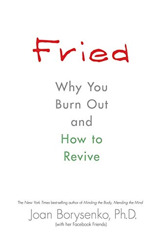 Imagen de archivo de Fried: Why You Burn Out and How to Revive a la venta por Wonder Book